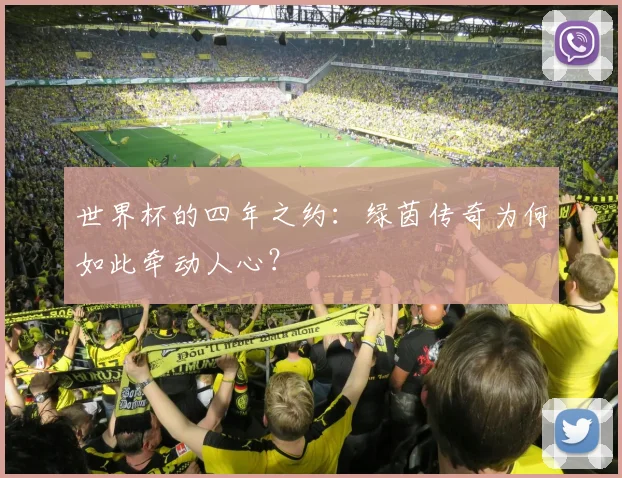 世界杯的四年之约:绿茵传奇为何如此牵动人心?