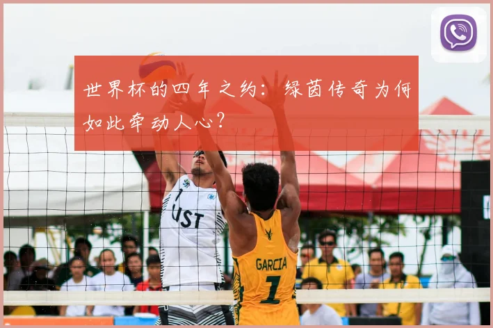 世界杯的四年之约:绿茵传奇为何如此牵动人心?